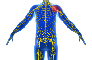 Peripheral Neuropathy